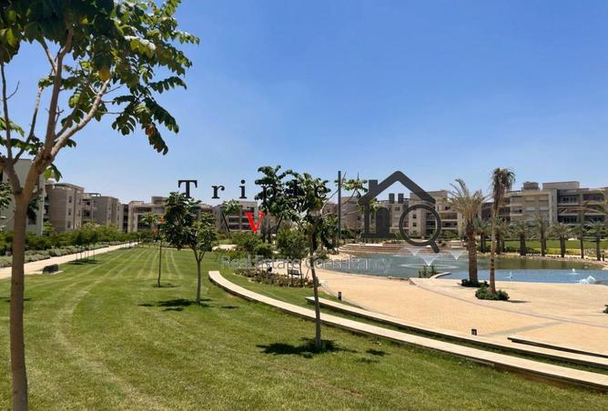 74049459 - صورة العقار 3