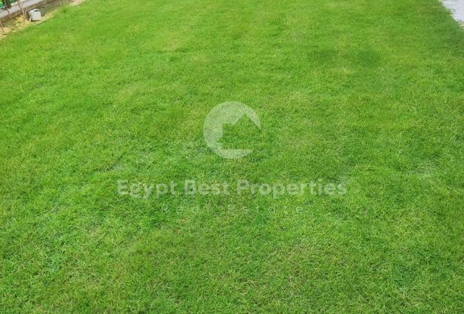 68539392 - صورة العقار 2