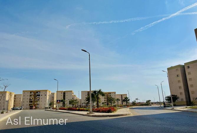 98836084 - صورة العقار 3