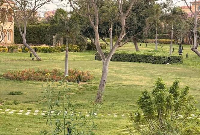 102916129 - صورة العقار 3