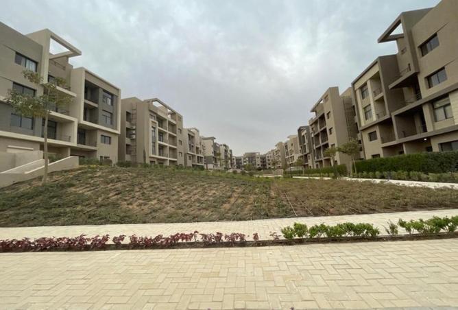 75680825 - Property Image 3