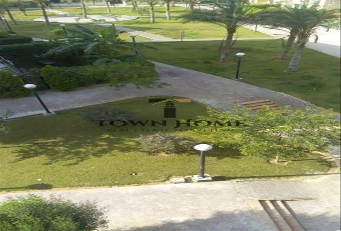 55246791 - صورة العقار 3