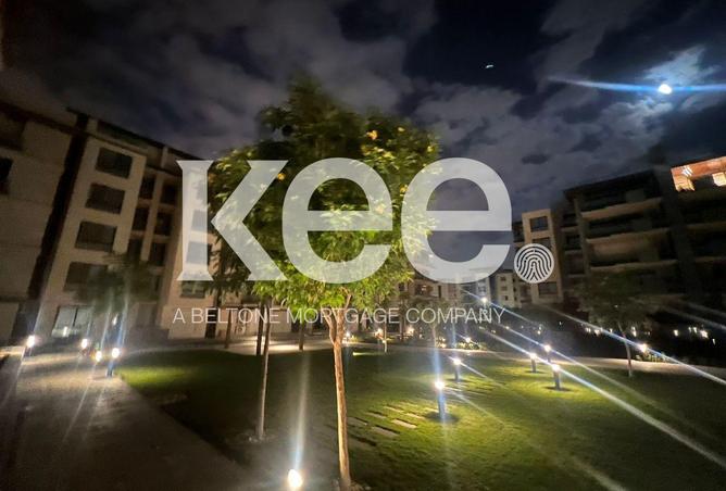 8576994 - Property Image 2