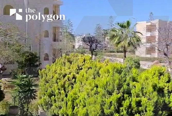 99388993 - Property Main Image