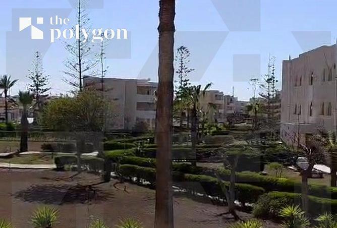 99388993 - Property Image 3