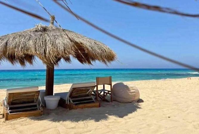 64394920 - صورة العقار 3