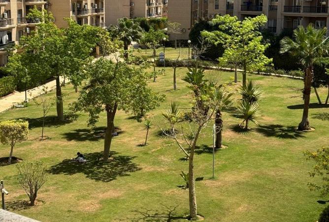 68006225 - صورة العقار 3