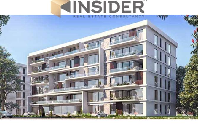 8551422 - Property Image 3