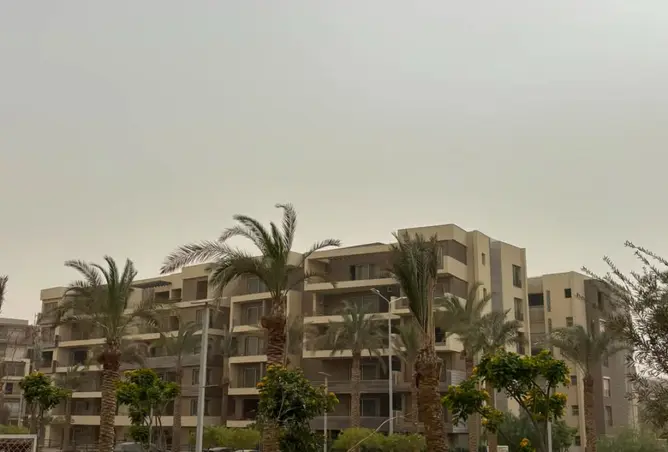 115176919 - صورة العقار 3