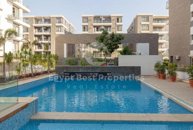 52449231 - Property Image 3