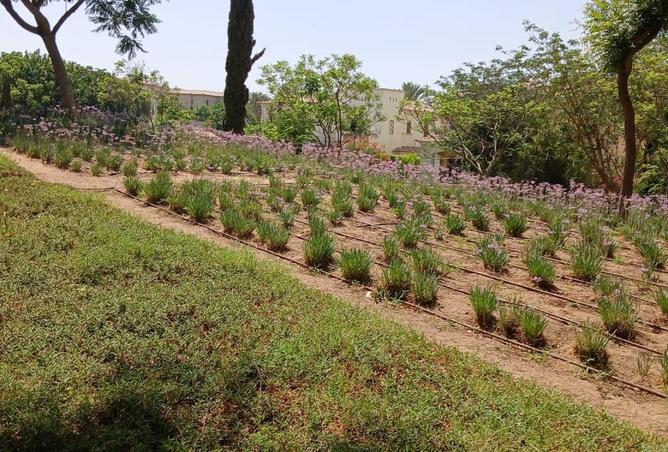 8560298 - Property Image 2