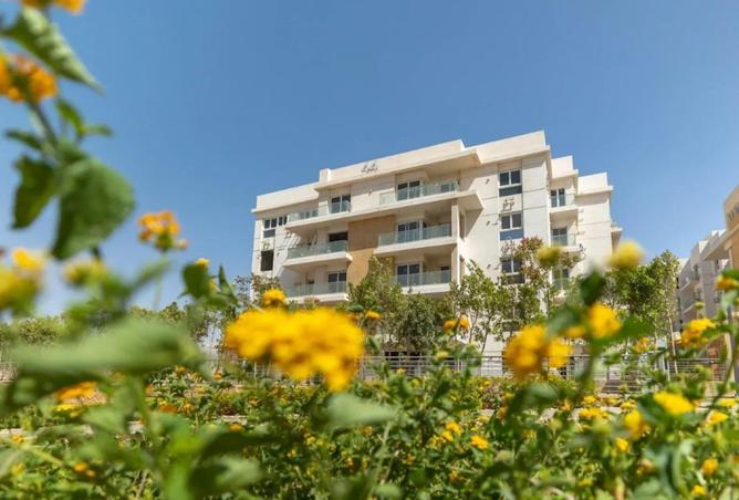 8571914 - Property Image 3