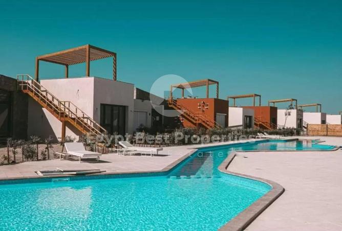 81579727 - Property Image 3