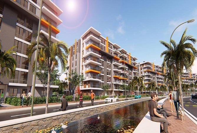 55511937 - Property Image 3