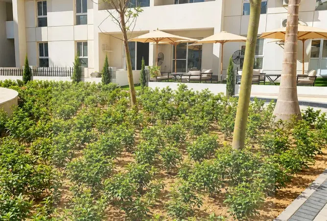 115447844 - صورة العقار 3