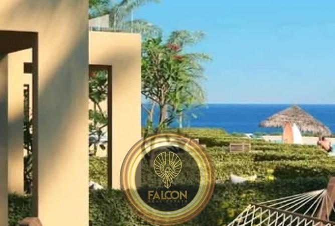 65916886 - صورة العقار 3