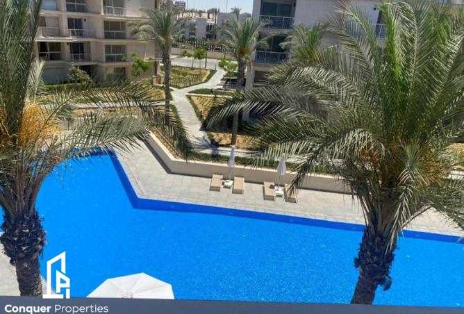 8458339 - Property Image 3