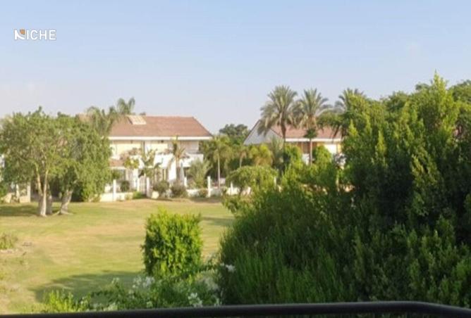 8413793 - صورة العقار 2