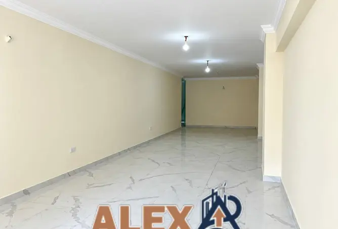 113823176 - صورة العقار 2