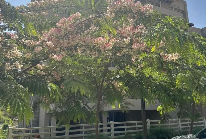 8635156 - صورة العقار 3