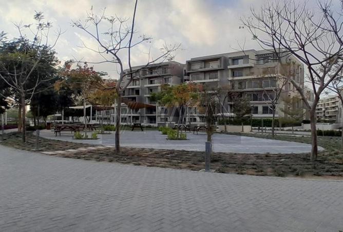 8629233 - Property Image 3