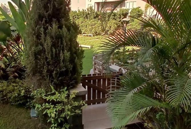 63646074 - Property Image 2