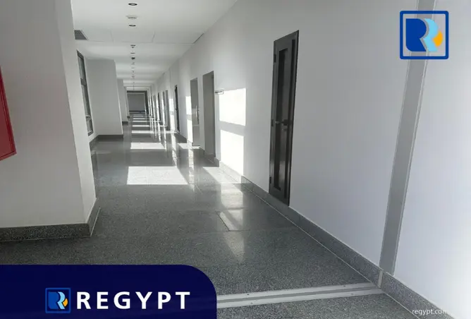 111603440 - Property Image 3