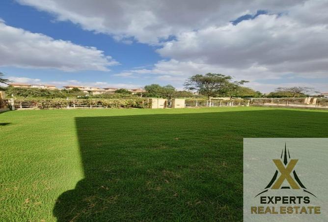 56998354 - Property Image 3