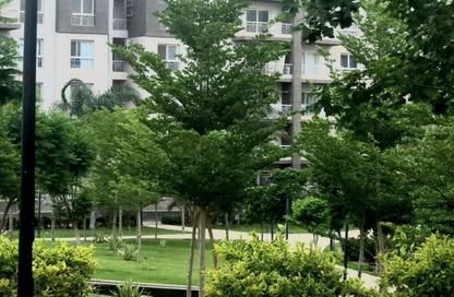 Apartment - 3 Bedrooms - 2 Bathrooms for rent in B12 - Madinaty - Cairo