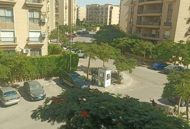 110469866 - Property Image 2