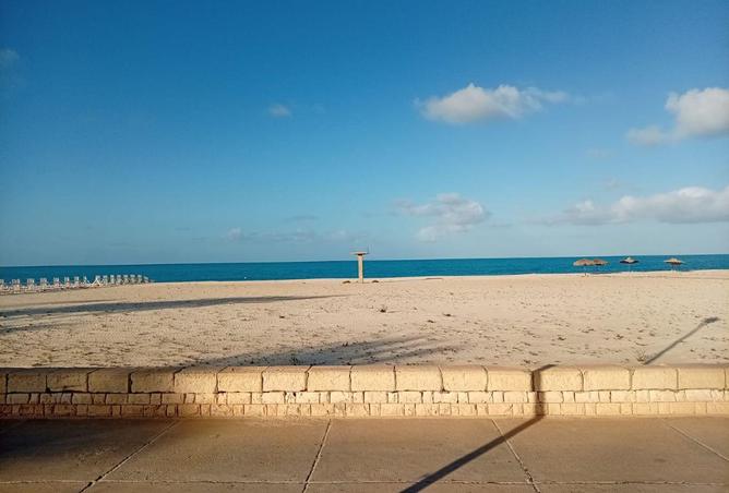 8647793 - صورة العقار 2