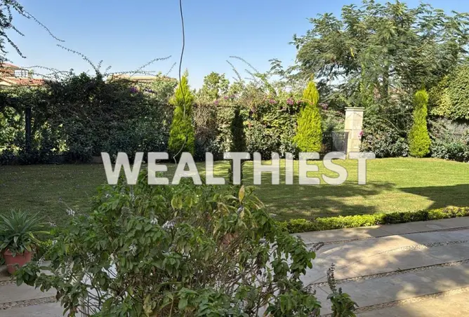 115715846 - Property Image 3