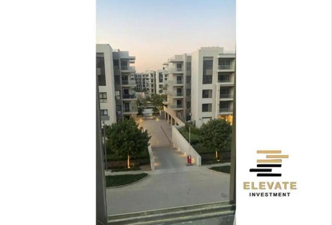 66166767 - Property Image 3