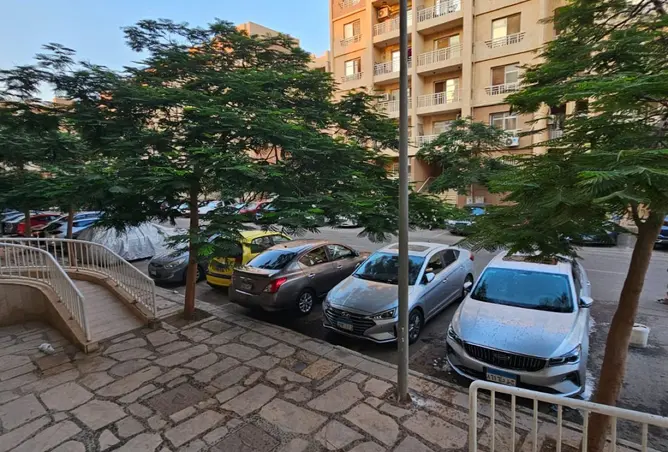 101781524 - صورة العقار 2