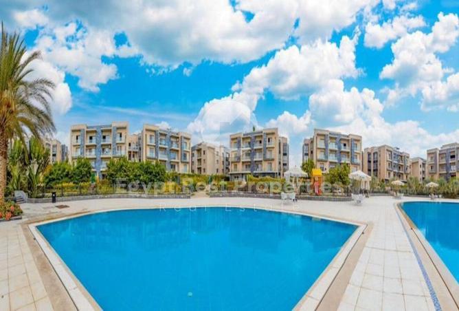 8469460 - Property Image 3