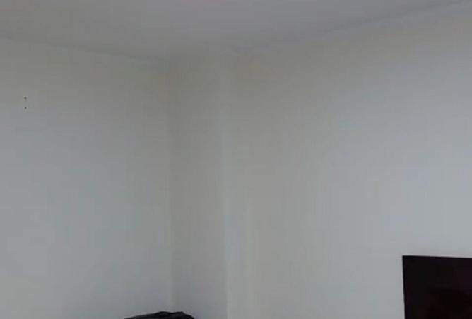 8569186 - Property Image 3