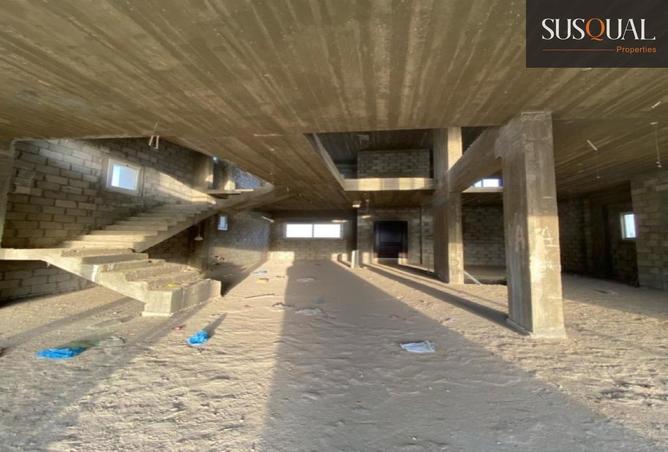 61202406 - Property Image 3