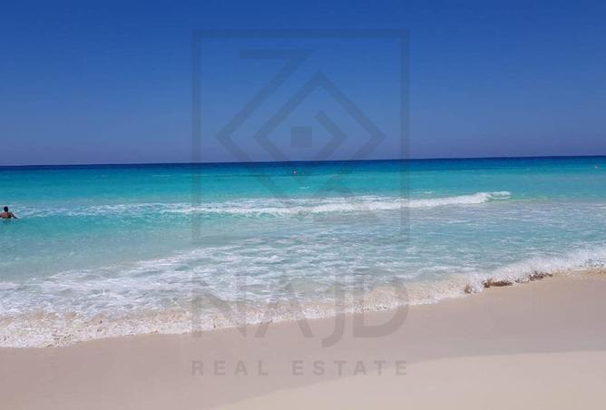 94911802 - Property Image 3