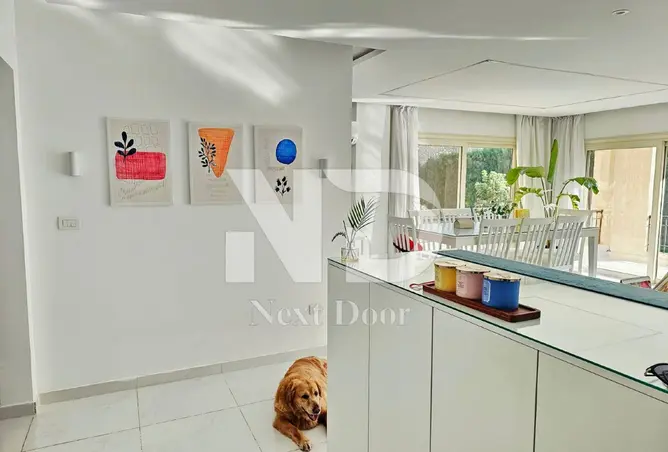115442375 - Property Image 3