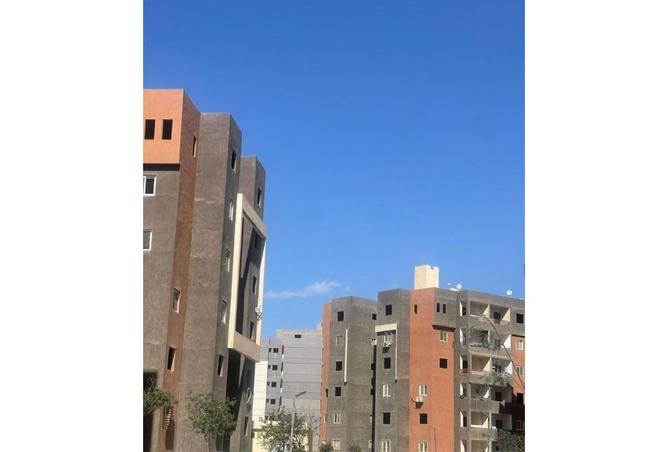 95752166 - صورة العقار 3