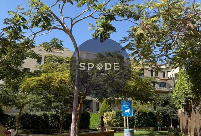 65666800 - صورة العقار 3