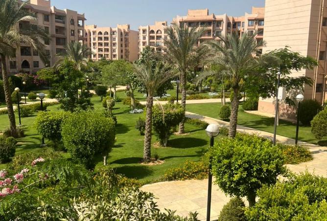 95478598 - صورة العقار 2