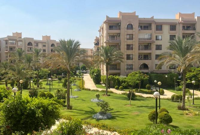 95478598 - صورة العقار 3