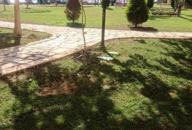 8566165 - Property Image 2