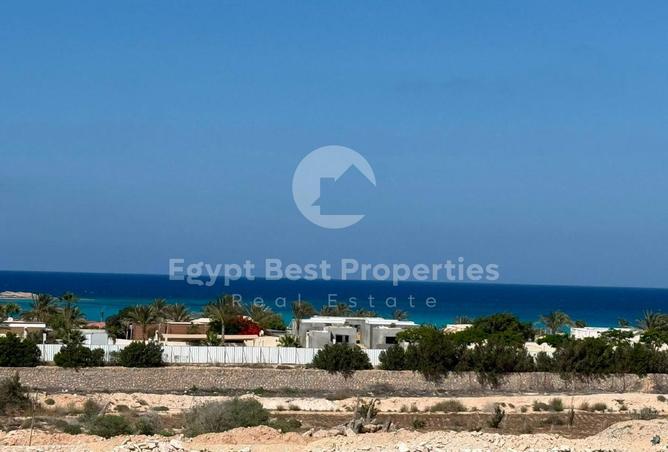 97149548 - صورة العقار 3