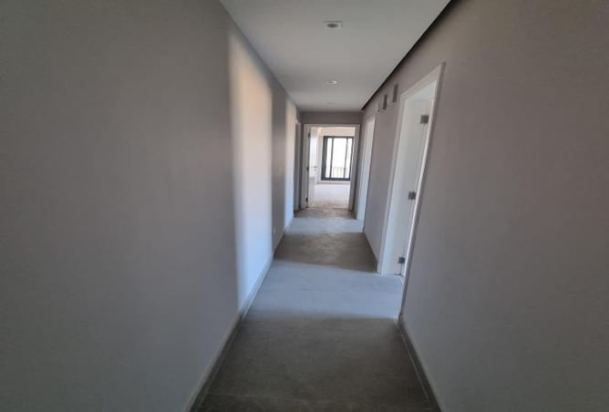 57136689 - Property Image 3