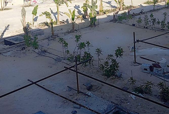 64531962 - صورة العقار 3