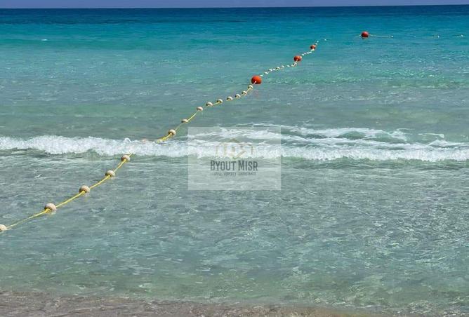 63382442 - صورة العقار 2