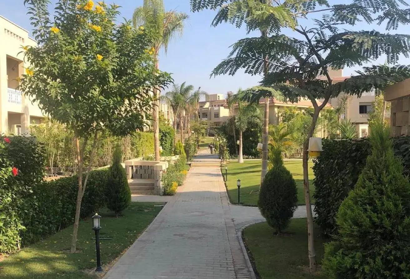 117533904 - الصورة الرئيسية للعقار