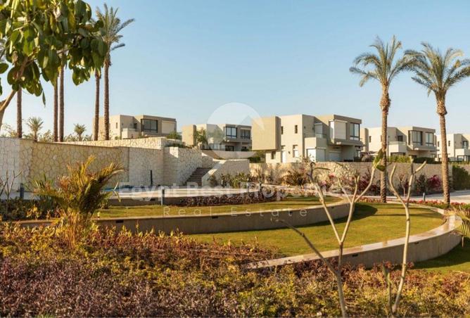 67741817 - صورة العقار 3